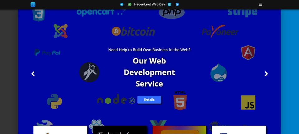 Top 10 WordPress Development Companies in Russia 7 Hagent Web Developers