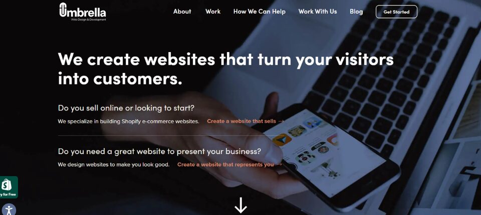 Top 10 Shopify Development Companies in Los Angeles 2 Studio Umbrella Inc.