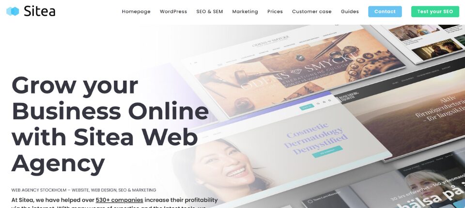 Top 10 WordPress Development Companies in Sweden 9 Sitea
