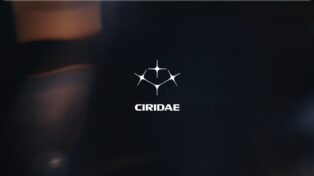 Ciridae 6 Ciridae