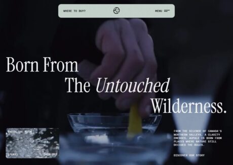 Aupale Vodka 1 Aupale Vodka