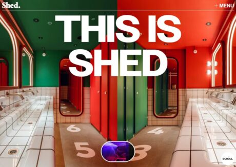 Shed 5 Shed