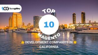 Top 10 Magento Development Companies in California 1 Top 10 Magento Development Companies in California
