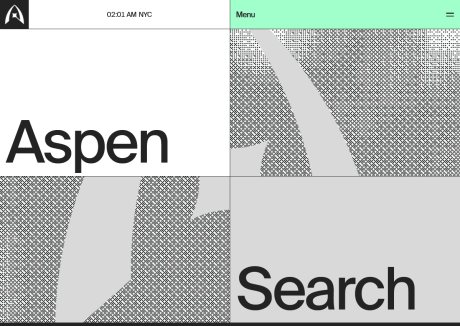Aspen Search 10 Aspen Search